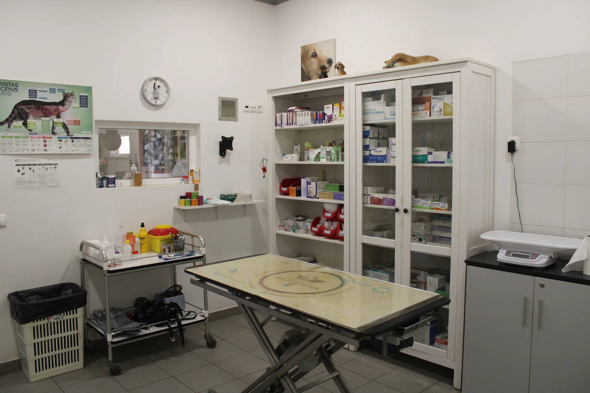 Vetmessines clinic room 1