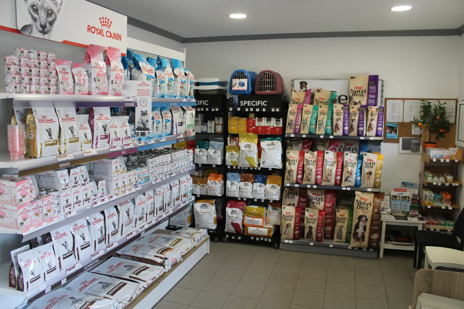 Vetmessines clinic room 3